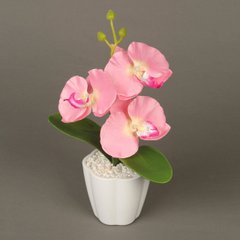 Декоративная композиция-вазон Орхидеи (4413)