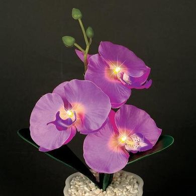 Декоративная композиция-вазон Орхидеи (4413)
