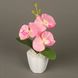 Декоративная композиция-вазон Орхидеи (4413) фото 1 из 3