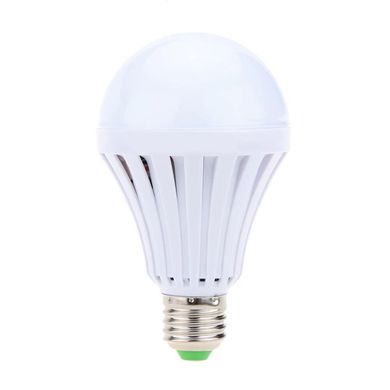 Энергосберегающая лампа с аккумулятором (4352)